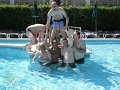 Calella 2010 038